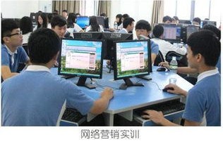 专业学电子商务有什么用