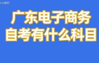 大一电子商务专业怎么考