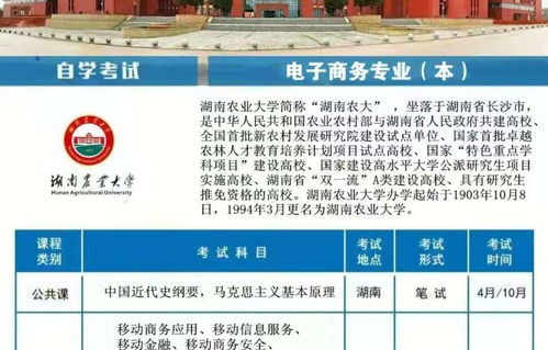 湖南电子商务专业本科