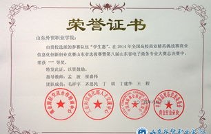 山东电子商务专业技能