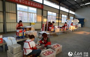 三门峡电子商务专业