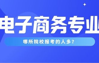 电子商务专业本科留学