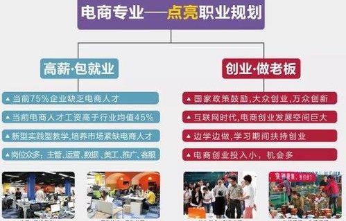 电子商务专业自主创业