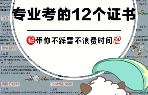 电子商务专业单招怎么考