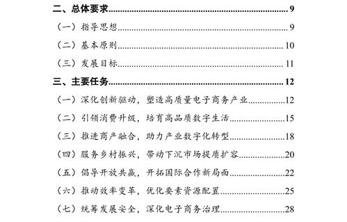 电子商务专业十四五规划