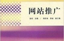 电子商务专业 工作经历