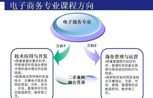 学电子商务考研专业课程