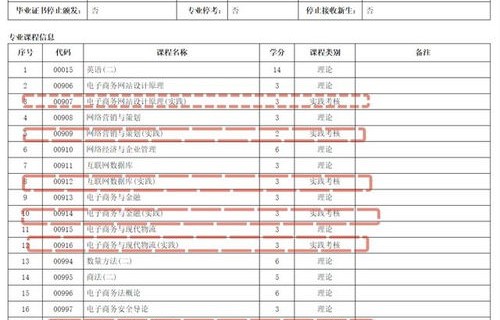 本科电子商务专业今后考什么好