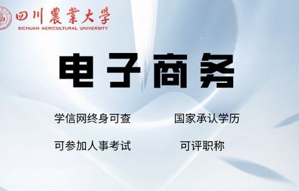 四川电子商务相关专业