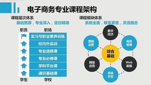电子商务专业都包括什么