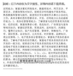 电子商务专业的求职打算