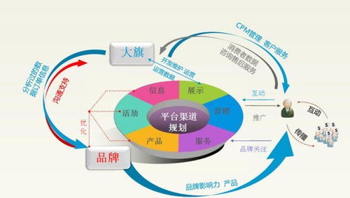 怎么干电子商务专业