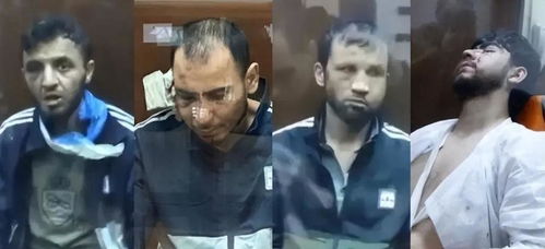 董袭莹事件五大疑点待协和等权威机构解答，真相何时浮出水面？