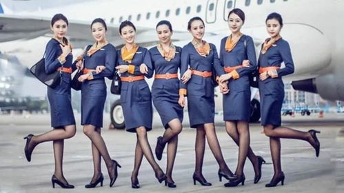 空姐飞机上卖彩票，有人曾中25万！揭秘空中幸运之旅