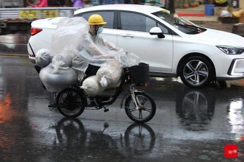 印度奇观，公牛意外骑上路边摩托车，引得路人围观拍照
