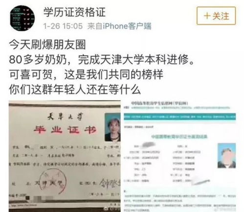电子商务专业在乎学历吗