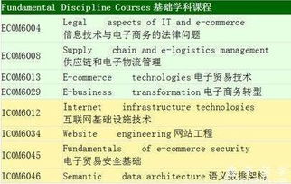 电子商务考研咋选专业呢