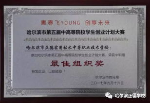 电子商务专业技能和素养