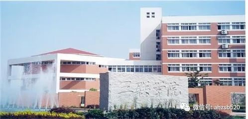 安徽大学电子商务专业吗
