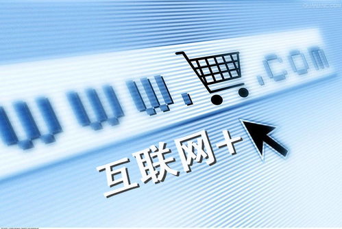 国考中电子商务专业知识