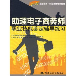 电子商务师的专业能力
