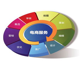 电子商务和财务管理专业