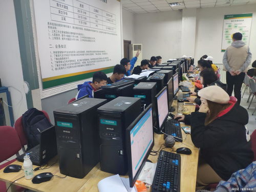 电子商务专业专科毕业生
