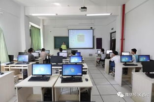 计算机电子商务专业教师