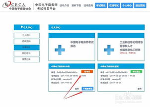 电子商务师都考什么专业