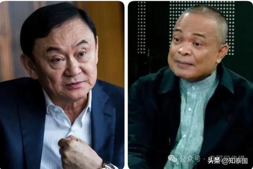 佩通坦在被停职前是否留了后手